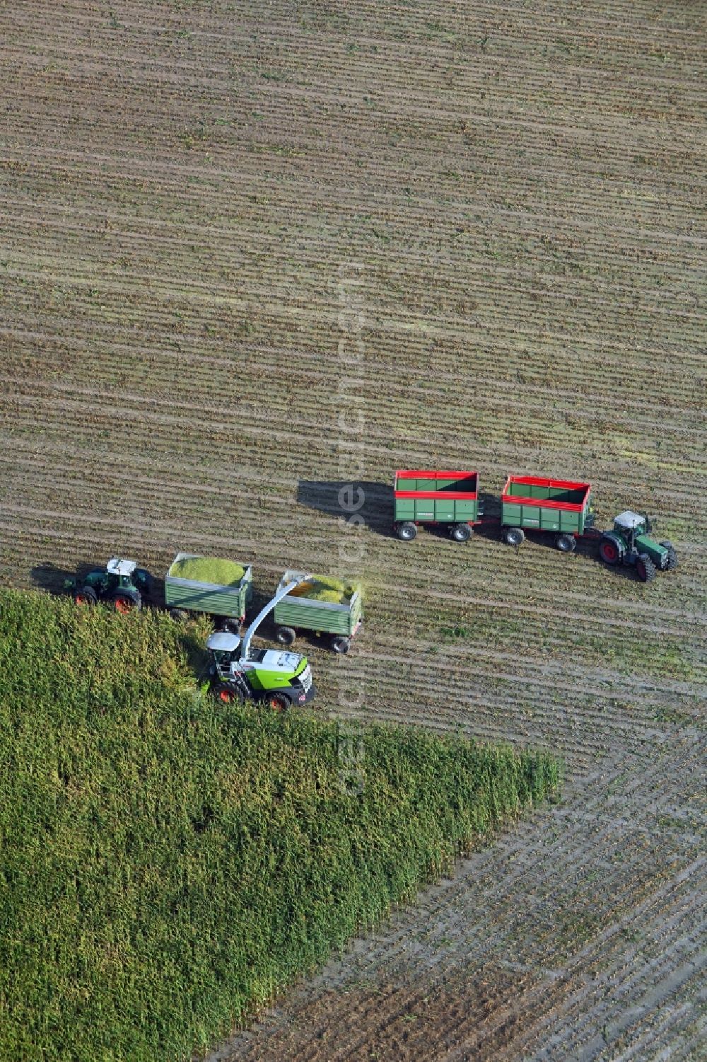 Aerial image Döhren - Maize harvest on a farm in Doehren in the state Saxony-Anhalt, Germany