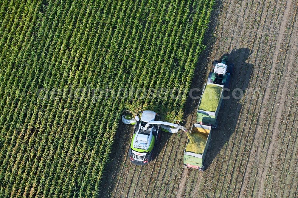 Döhren from the bird's eye view: Maize harvest on a farm in Doehren in the state Saxony-Anhalt, Germany