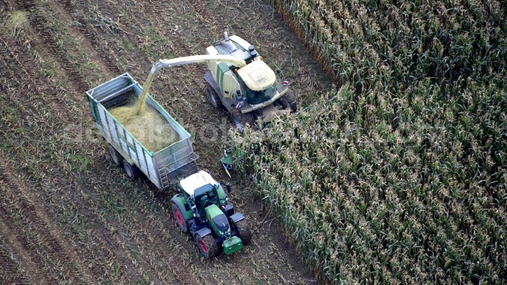 Königswinter from the bird's eye view: Corn harvest in the state North Rhine-Westphalia, Germany
