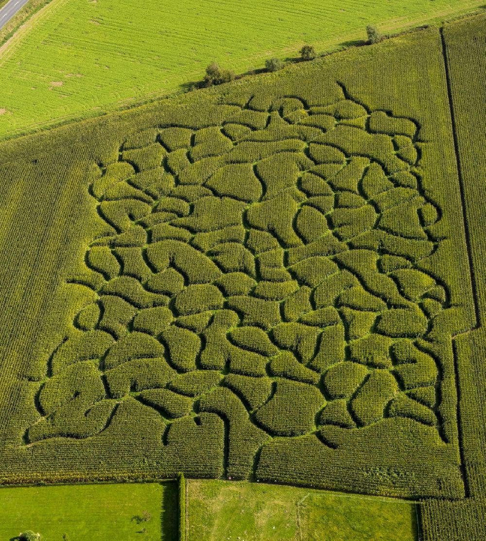 Bad Sassendorf from above - Corn field - Labyrinth on a field near Bad Sass village in the state of North Rhine-Westphalia