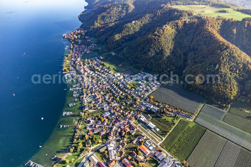 Aerial image Bodman - Marina - harbour area on the shore of Lake Constance in Bodman in the state Baden-Wurttemberg, Germany