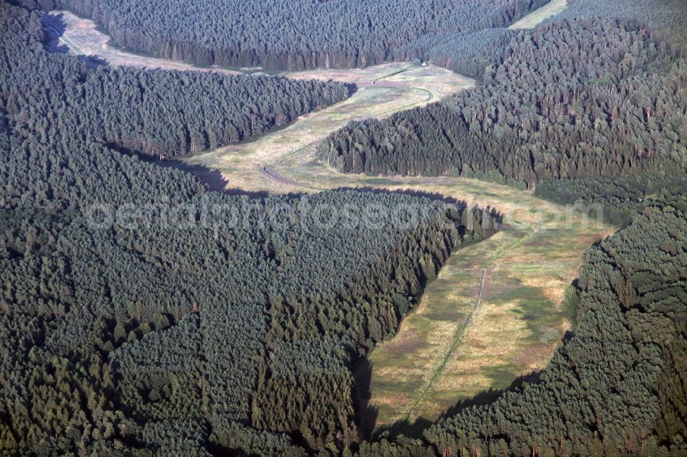 Aerial photograph Kreuzbruch - Distinctive course of a clearing in a forest area in the cross-fold in Brandenburg