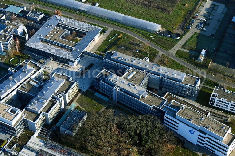 Potsdam from the bird's eye view: View of Max Planck Institutes in Potsdam in Brandenburg