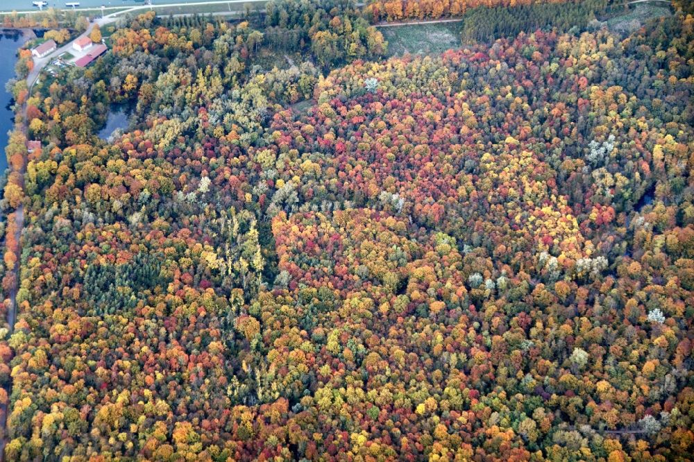 Weisweil from above - Sea colorful colored leaves on the treetops in an autumnal deciduous tree - woodland near weisweil in the state Baden-Wuerttemberg