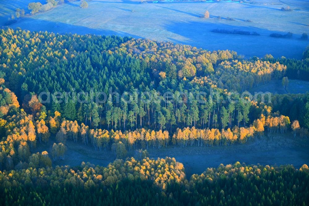 Feldberger Seenlandschaft from above - Sea colorful colored leaves on the treetops in an autumnal deciduous tree - woodland in Feldberger Seenlandschaft in the state Mecklenburg - Western Pomerania, Germany