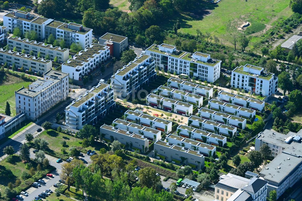 Dresden from the bird's eye view: Residential area of a multi-family house settlement Wohnanlage Wohnen on Alaunpark GmbH in of Hans-Oster-Strasse - Tannenstrasse in the district Aeussere Neustadt in Dresden in the state Saxony, Germany