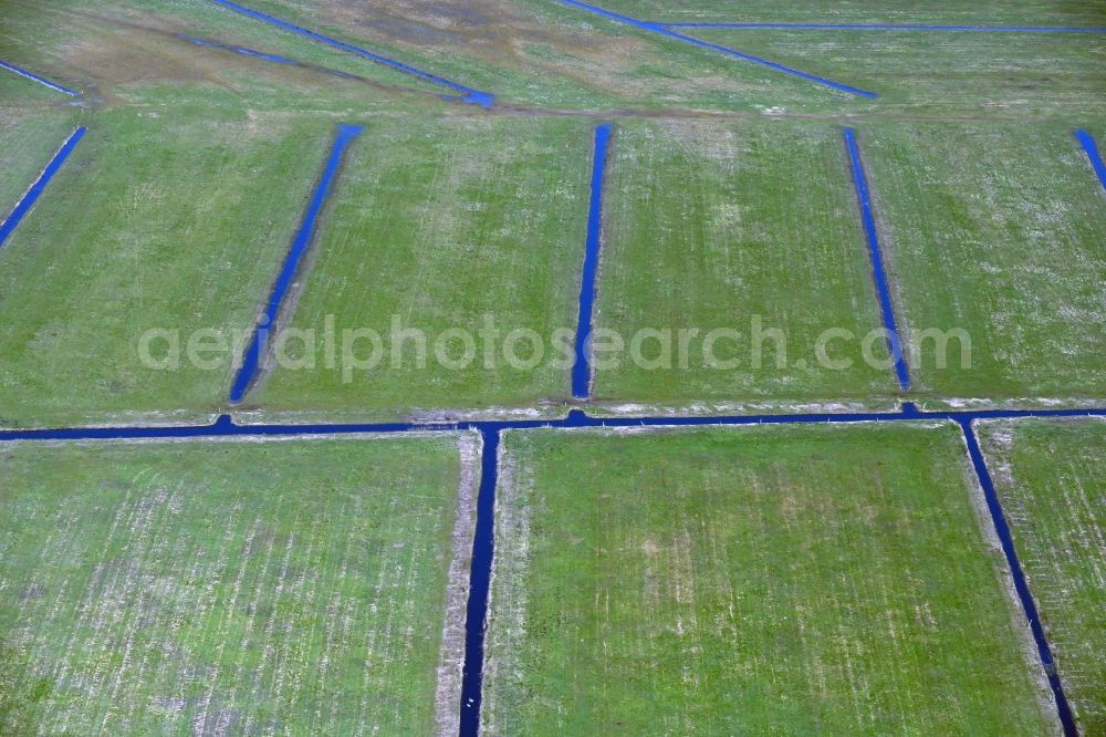 Zirchow from the bird's eye view: Irrigation and Melioration- channels on agricultural fields in Zirchow on the island of Usedom in the state Mecklenburg - Western Pomerania, Germany