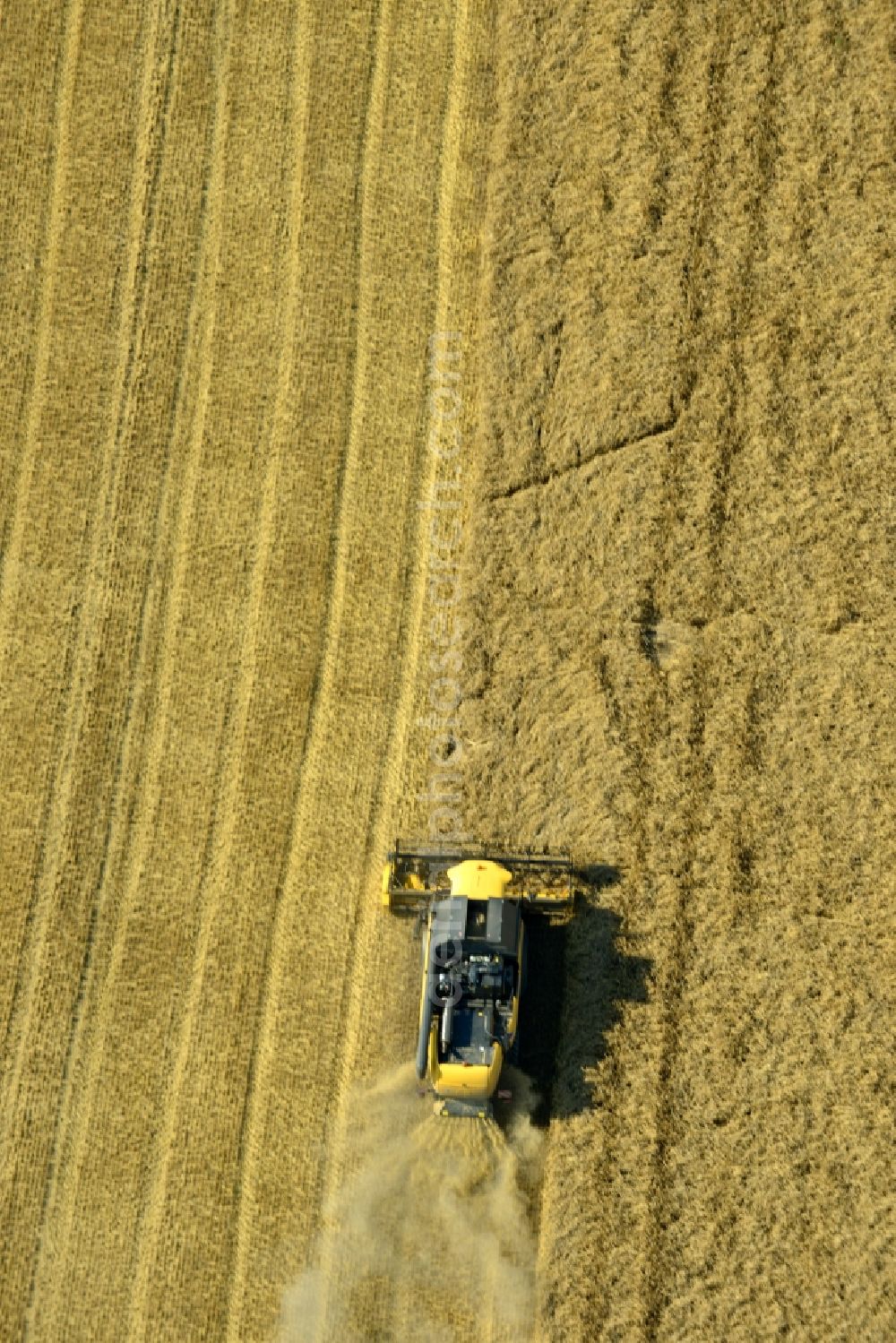 Rauschwitz from above - Combines an agricultural concern at harvest on a grain field in Rauschwitz in Thuringia