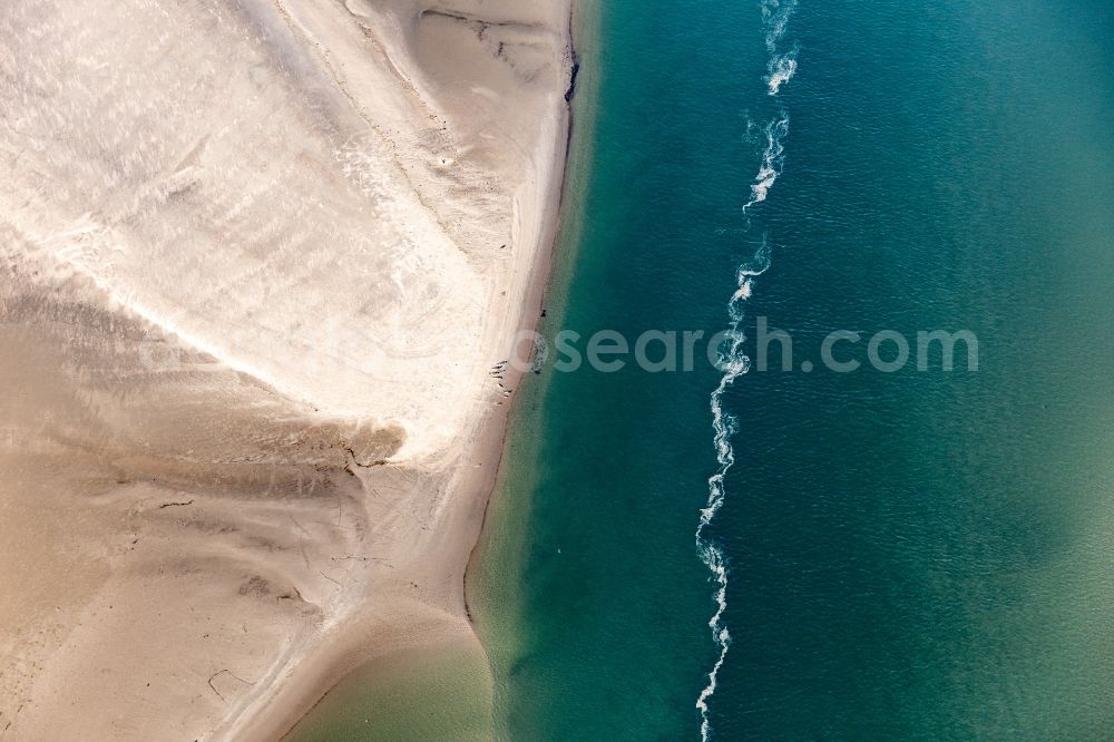 Aerial image Fanö - Seals on a Sand bankarea at the sourthern coast of Fanoe in Syddanmark, Denmark