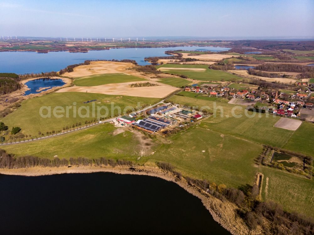 Chorin from above - Dairy plant and animal breeding stables with cows Oekodorf Brodowin in Chorin in the state Brandenburg, Germany