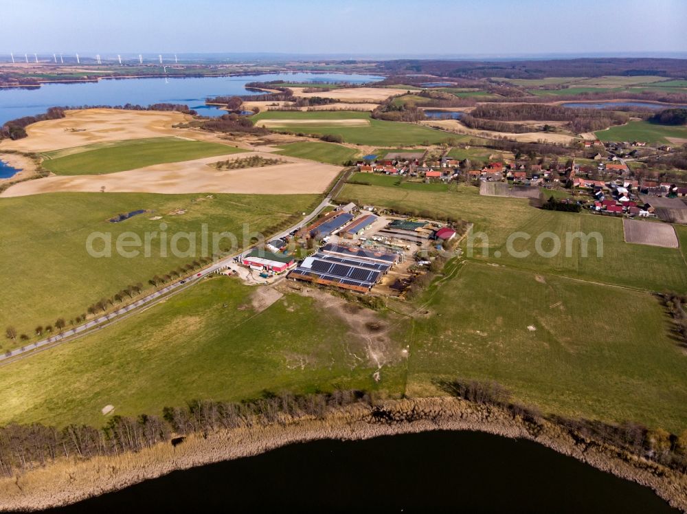 Chorin from the bird's eye view: Dairy plant and animal breeding stables with cows Oekodorf Brodowin in Chorin in the state Brandenburg, Germany