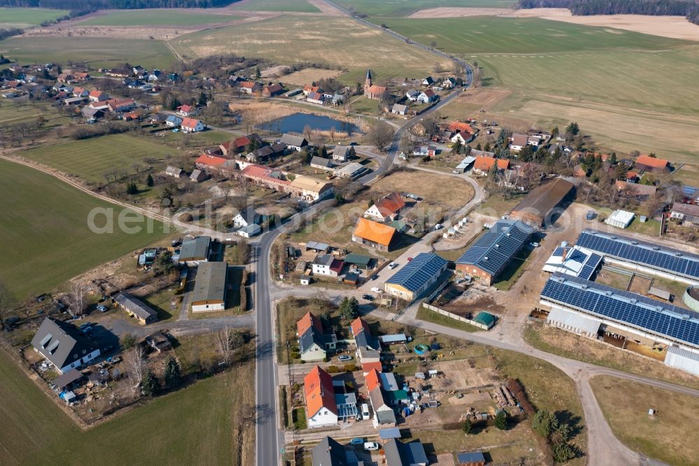 Aerial image Dannenberg - Dairy plant and animal breeding stables with cows Dannenberger Biohof, Hofladen & Milchtankstelle in Dannenberg in the state Brandenburg, Germany