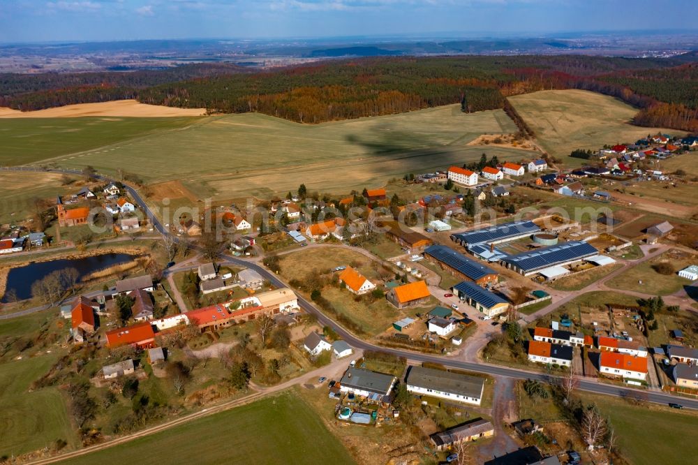 Aerial photograph Dannenberg - Dairy plant and animal breeding stables with cows Dannenberger Biohof, Hofladen & Milchtankstelle in Dannenberg in the state Brandenburg, Germany