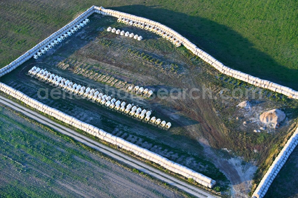 Glaisin from the bird's eye view: Dairy plant and animal breeding stables with cows in Glaisin in the state Mecklenburg - Western Pomerania, Germany