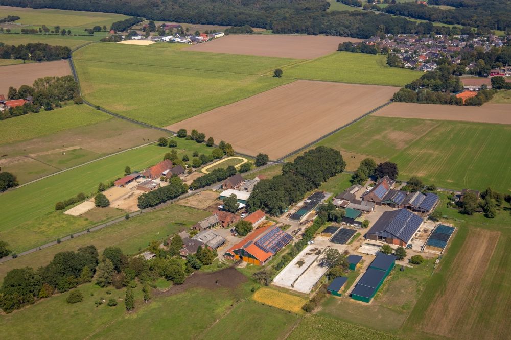 Hünxe from the bird's eye view: Dairy plant and animal breeding stables with cows of Landwirtschaftsbetriebs Gerd Lindenkamp and overlooking the riding school of the Brio Therapy and Equestrian Center GmbH in Huenxe in the state North Rhine-Westphalia, Germany
