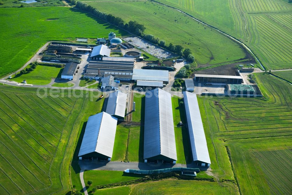 Aerial image Ivenack - Dairy plant and animal breeding stables with cows Milchviehanlage Hummel GmbH in Ivenack in the state Mecklenburg - Western Pomerania, Germany
