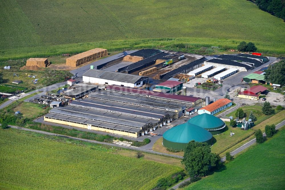 Aerial image Klosterfelde - Dairy plant and animal breeding stables with cows on Liebenwalder Damm in Klosterfelde in the state Brandenburg, Germany