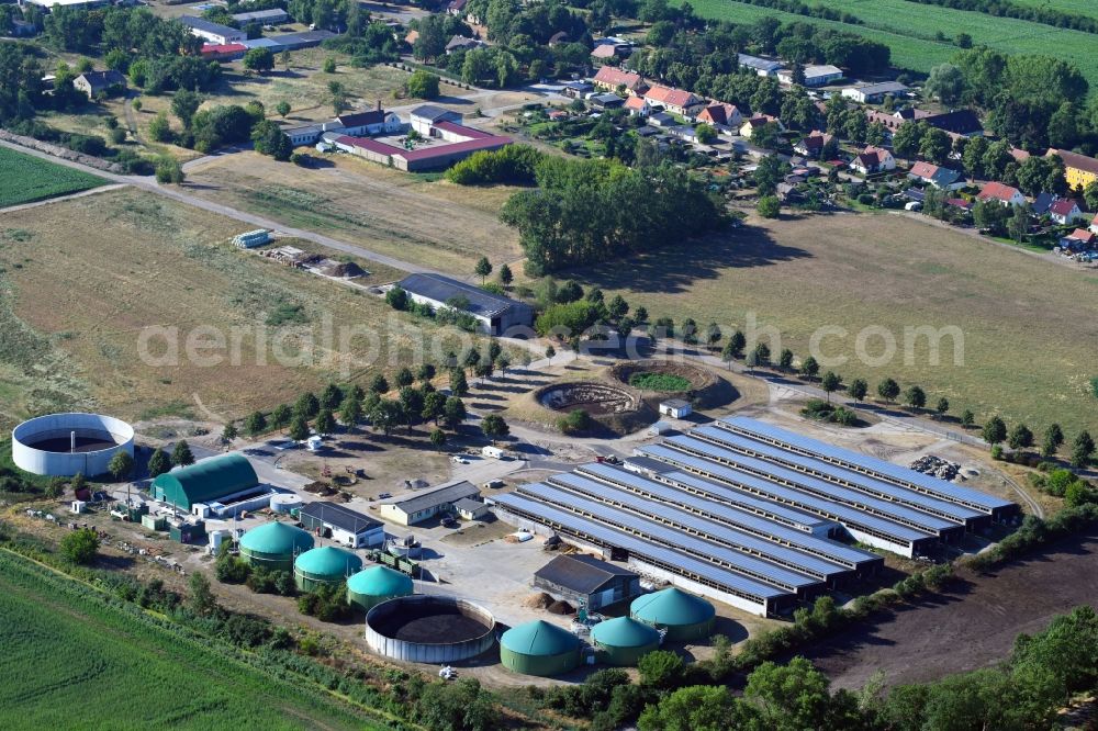 Nauen from above - Dairy plant and animal breeding stables with cows An den Koenigshorster Wiesen in Nauen in the state Brandenburg, Germany