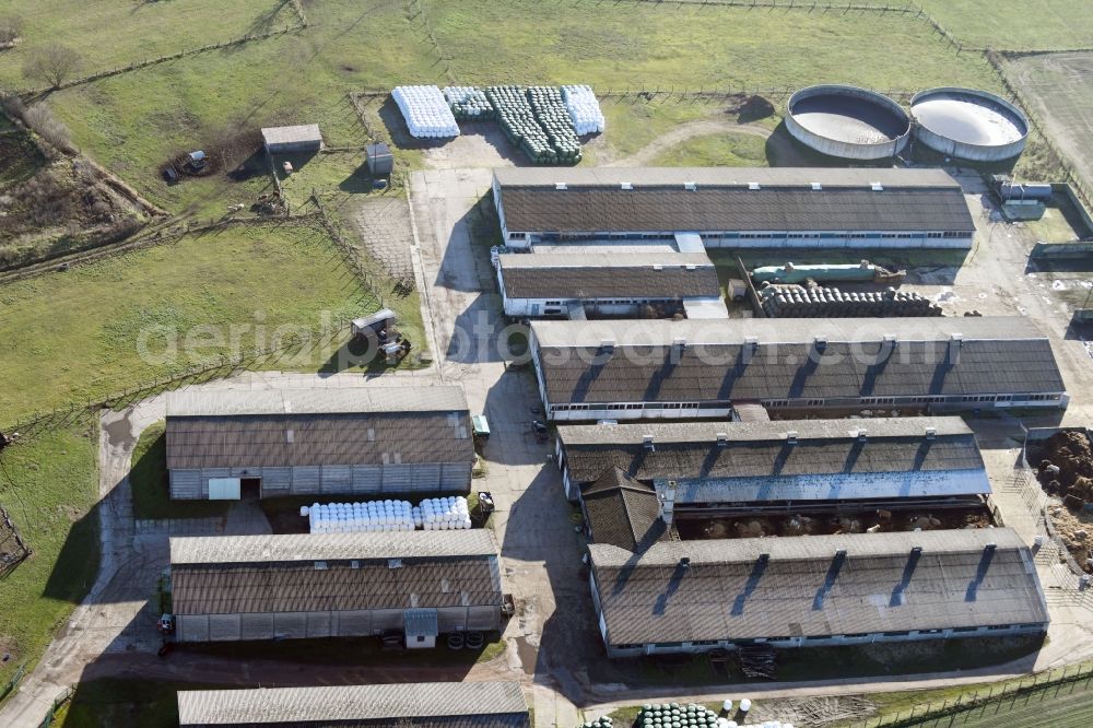 Aerial photograph Neulögow - Dairy plant and animal breeding stables with cows in Neuloegow in the state Brandenburg, Germany