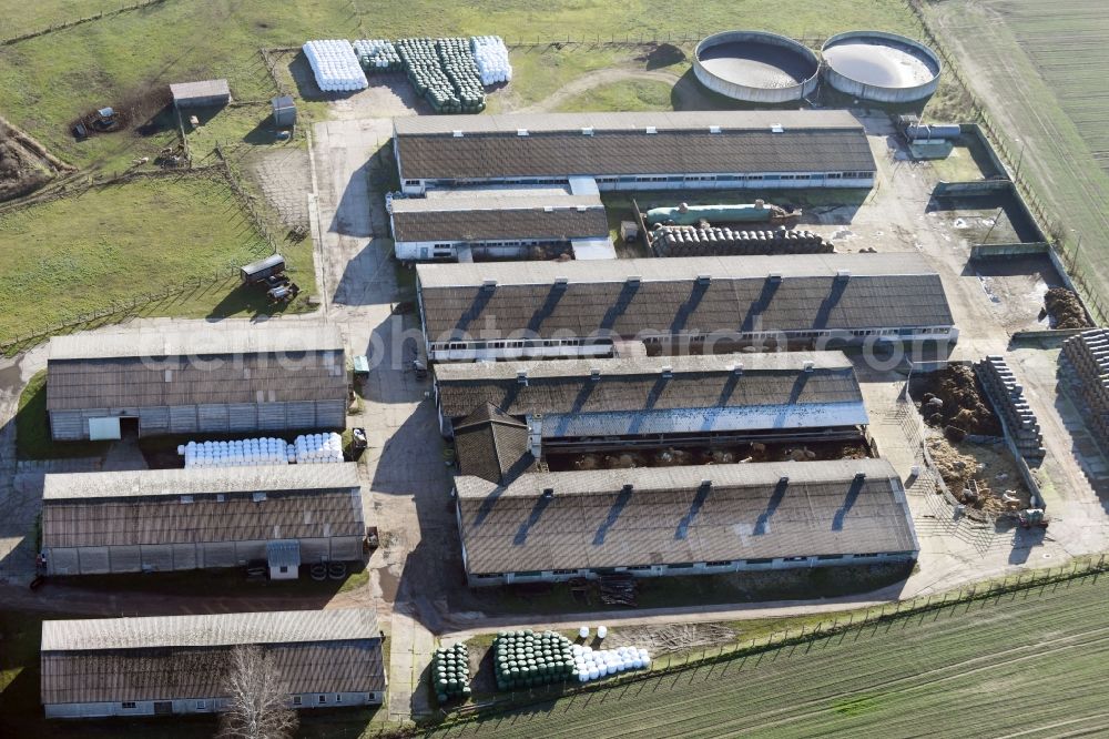 Neulögow from the bird's eye view: Dairy plant and animal breeding stables with cows in Neuloegow in the state Brandenburg, Germany