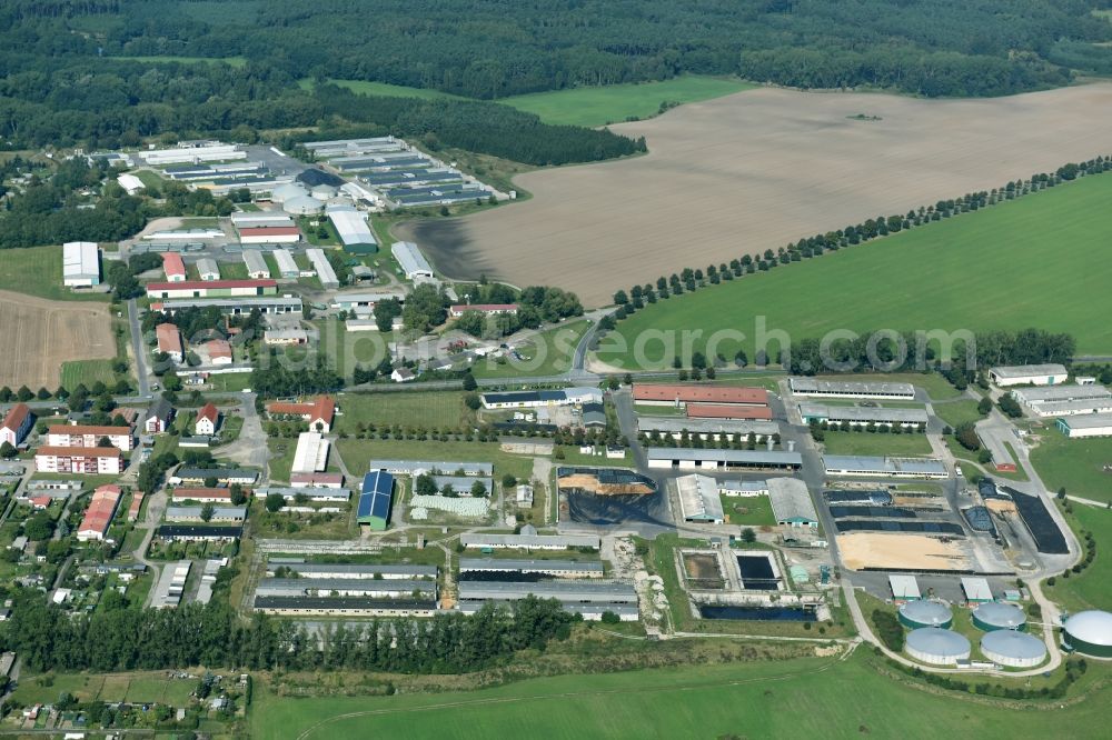 Parchim from the bird's eye view: Dairy plant and animal breeding stables with cows des Milchhof Gut Parchim GbR on the Luebzer Chaussee in Parchim in the state Mecklenburg - Western Pomerania