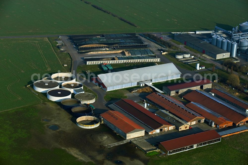 Quellendorf from above - Dairy plant and animal breeding stables with cows and a bio-diesel storage tank system on Molkereistrasse in Quellendorf in the state Saxony-Anhalt, Germany