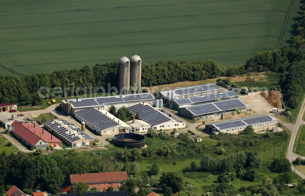 Aerial photograph Sundhausen - Dairy plant and animal breeding stables with cows and Schweinezucht between Hauptstrasse and Blankenburger Weg in Sundhausen in the state Thuringia, Germany