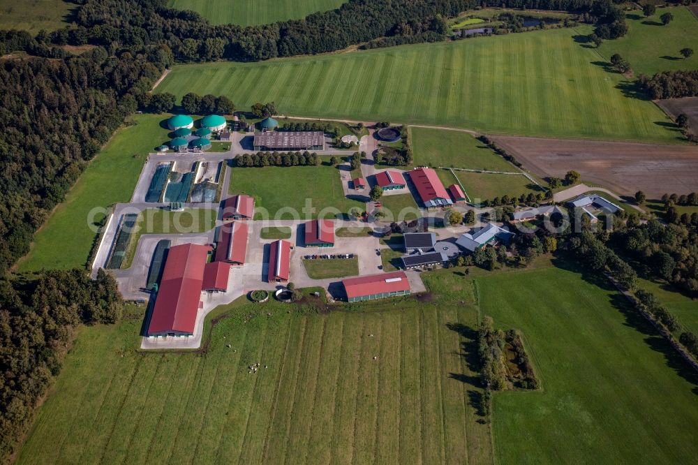 Aerial photograph Wahlstedt - Dairy plant and animal breeding stables with cows Gut Huelsenberg GmbH on Wiesenweg in Wahlstedt in the state Schleswig-Holstein, Germany