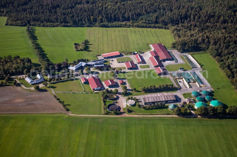 Wahlstedt from above - Dairy plant and animal breeding stables with cows Gut Huelsenberg GmbH on Wiesenweg in Wahlstedt in the state Schleswig-Holstein, Germany