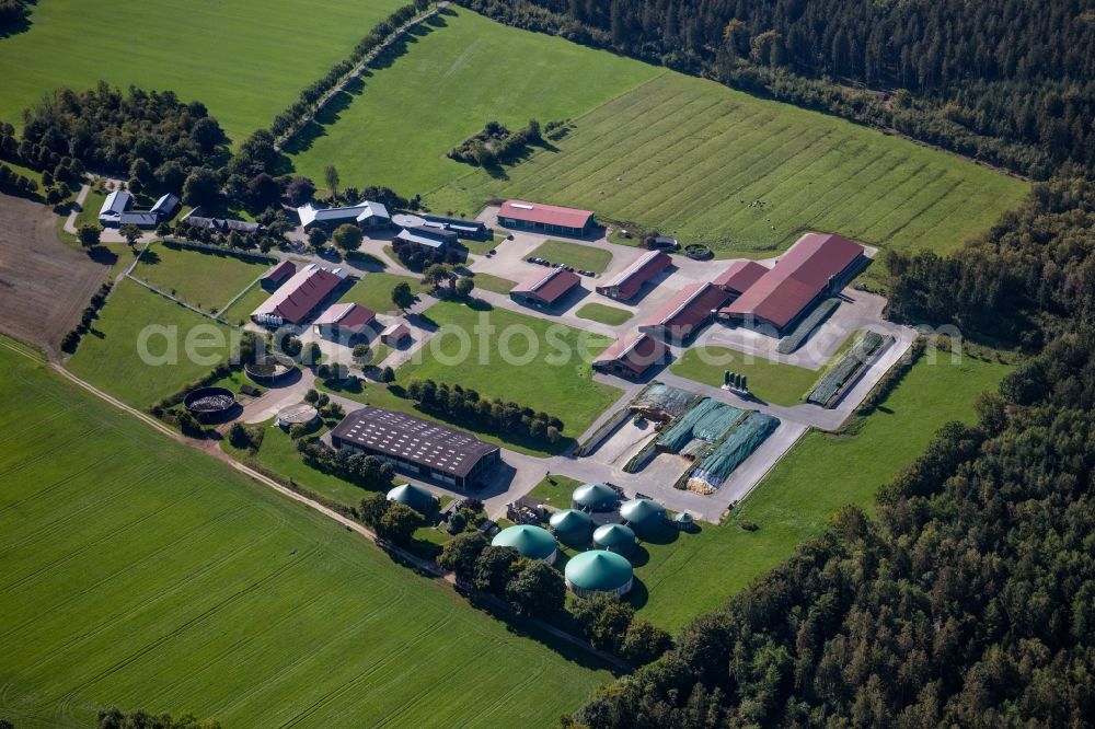 Wahlstedt from the bird's eye view: Dairy plant and animal breeding stables with cows Gut Huelsenberg GmbH on Wiesenweg in Wahlstedt in the state Schleswig-Holstein, Germany