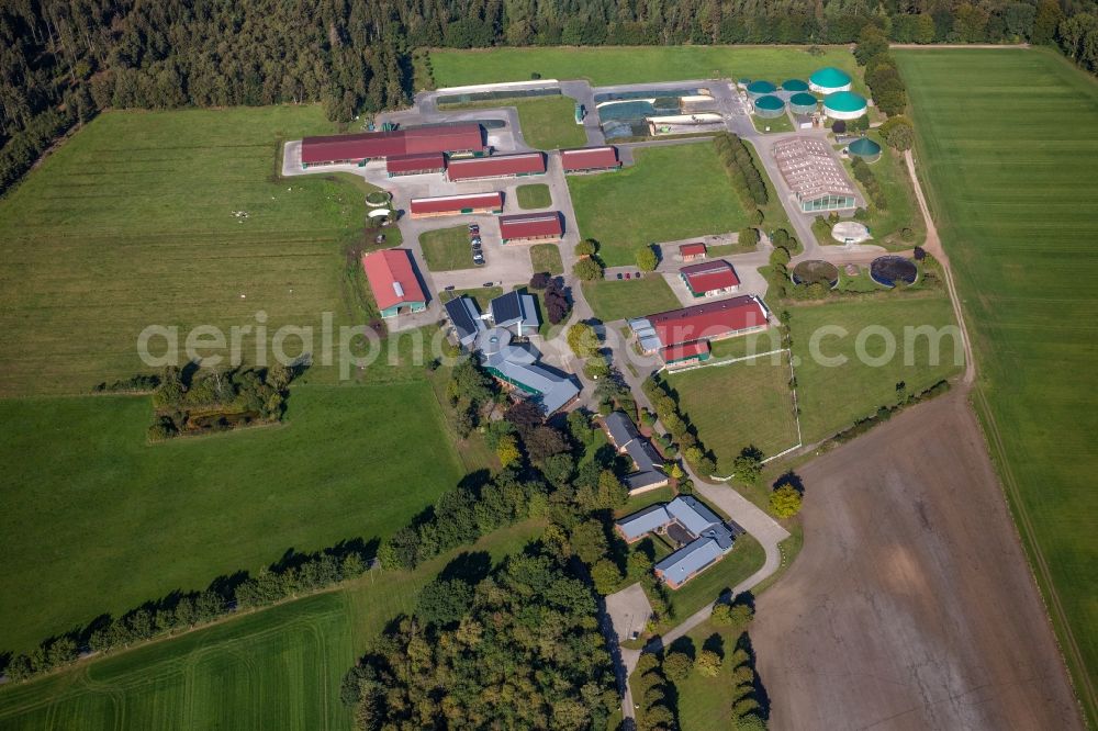 Aerial image Wahlstedt - Dairy plant and animal breeding stables with cows Gut Huelsenberg GmbH on Wiesenweg in Wahlstedt in the state Schleswig-Holstein, Germany
