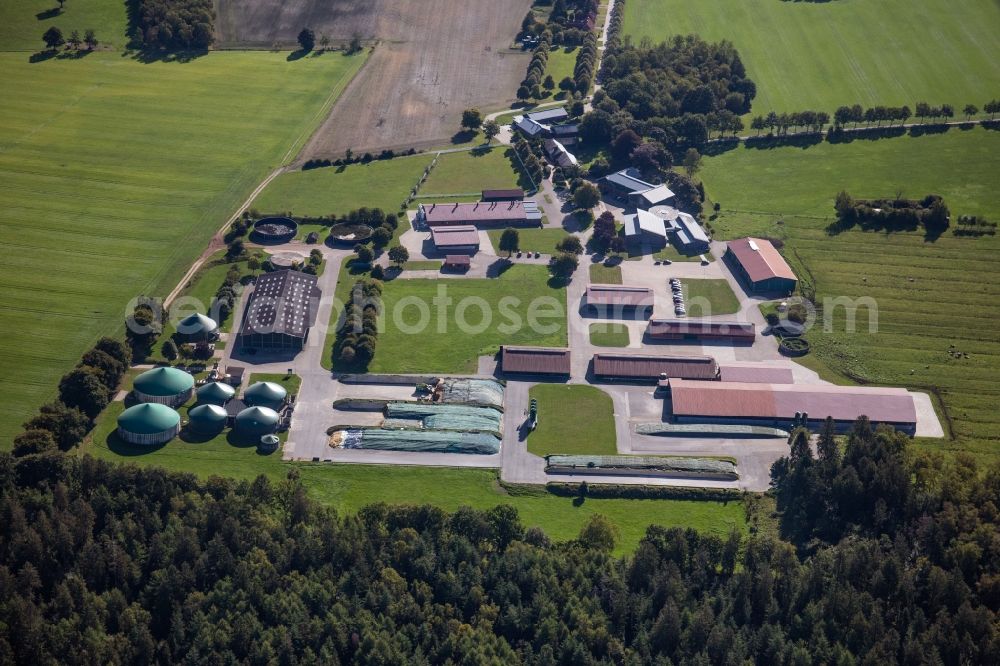 Aerial photograph Wahlstedt - Dairy plant and animal breeding stables with cows Gut Huelsenberg GmbH on Wiesenweg in Wahlstedt in the state Schleswig-Holstein, Germany