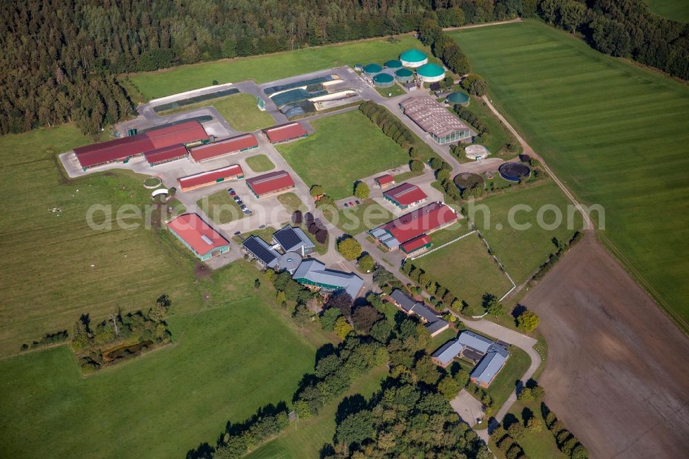 Wahlstedt from above - Dairy plant and animal breeding stables with cows Gut Huelsenberg GmbH on Wiesenweg in Wahlstedt in the state Schleswig-Holstein, Germany