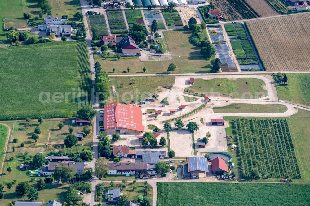 Aerial image Endingen am Kaiserstuhl - Dairy plant and animal breeding stables with Horses in Endingen am Kaiserstuhl in the state Baden-Wurttemberg, Germany