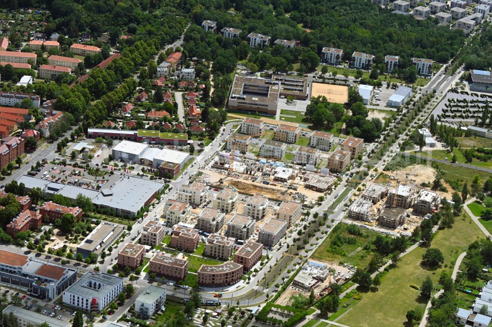 Potsdam from the bird's eye view: Mixing of residential and commercial settlements by the ProPotsdam GmbH on Bornstedter Feld between of Peter-Huchel-Strasse and of Georg-Hermann-Allee in the district Bornstedt in Potsdam in the state Brandenburg, Germany