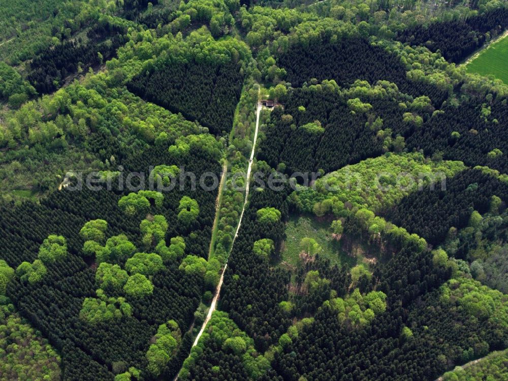 Aerial image Göppingen - View of mixed forest with fresh green structures blooming deciduous forest stocks in early summer in a forest near Göppingen in Baden-Württemberg
