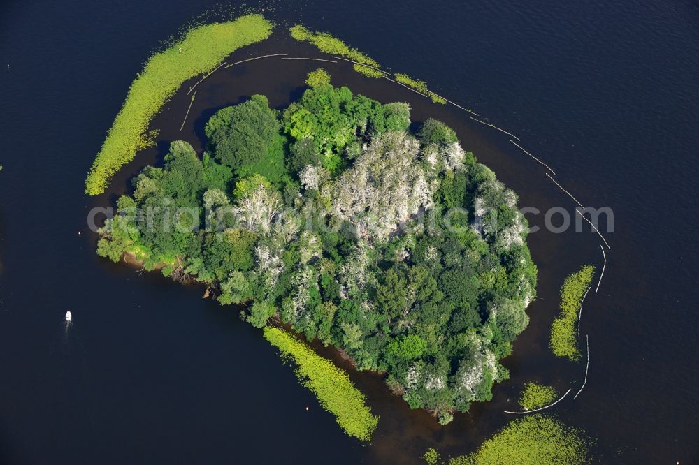 Aerial image Berlin Kladow - Nature reserve in the island Imchen Kladow on the shores of the Wannsee in Berlin