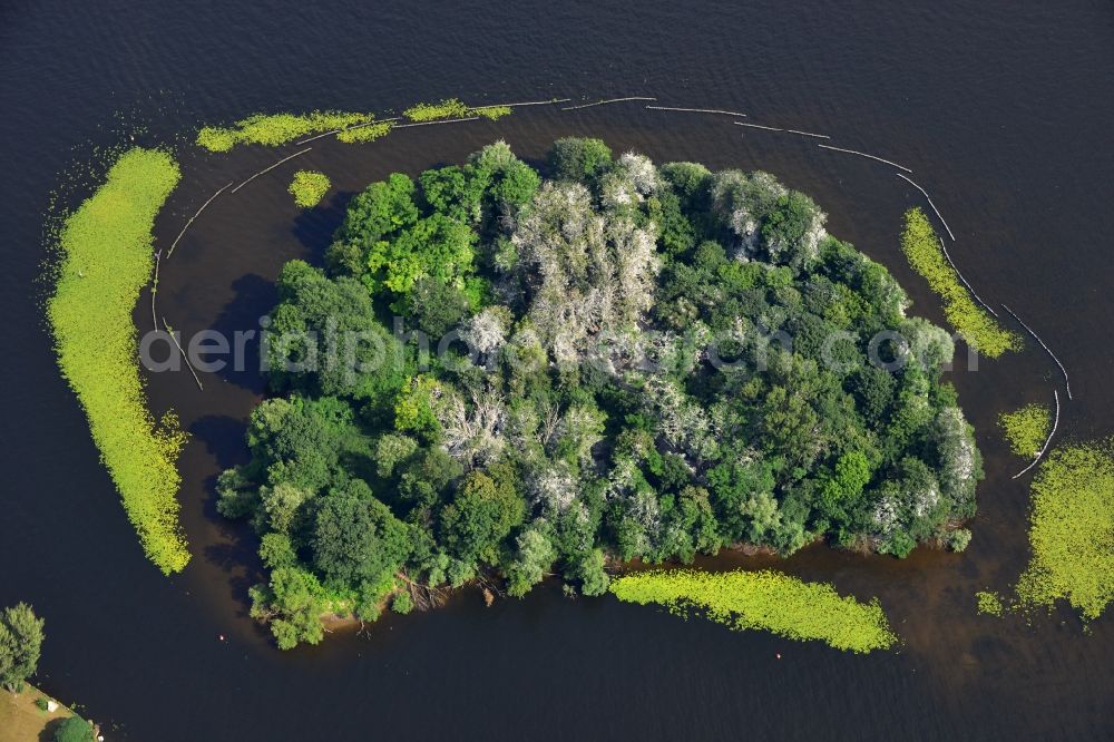 Aerial photograph Berlin Kladow - Nature reserve in the island Imchen Kladow on the shores of the Wannsee in Berlin