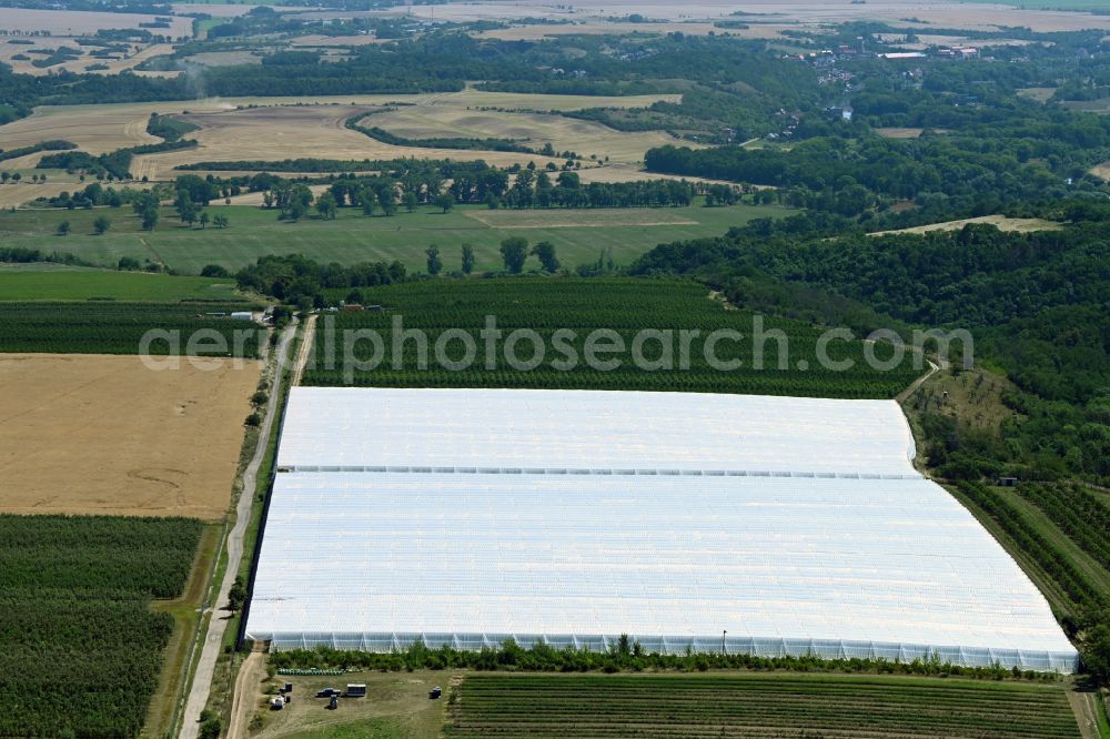 Aerial photograph Salzatal - Agricultural land and field boundaries surround the settlement area of the village in the district Beesenstedt in Salzatal in the state Saxony-Anhalt, Germany