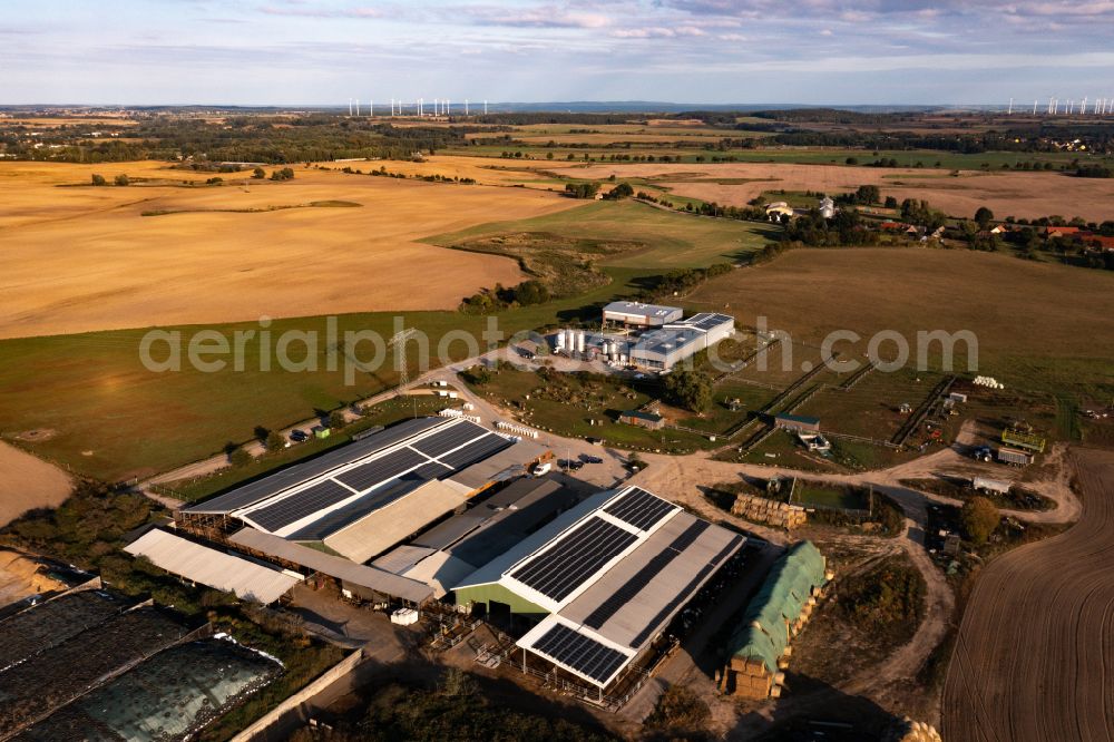 Angermünde from above - Elevated tanks and technical systems on the buildings on the dairy factory premises Hemme Milch in Angermuende in the state Brandenburg, Germany