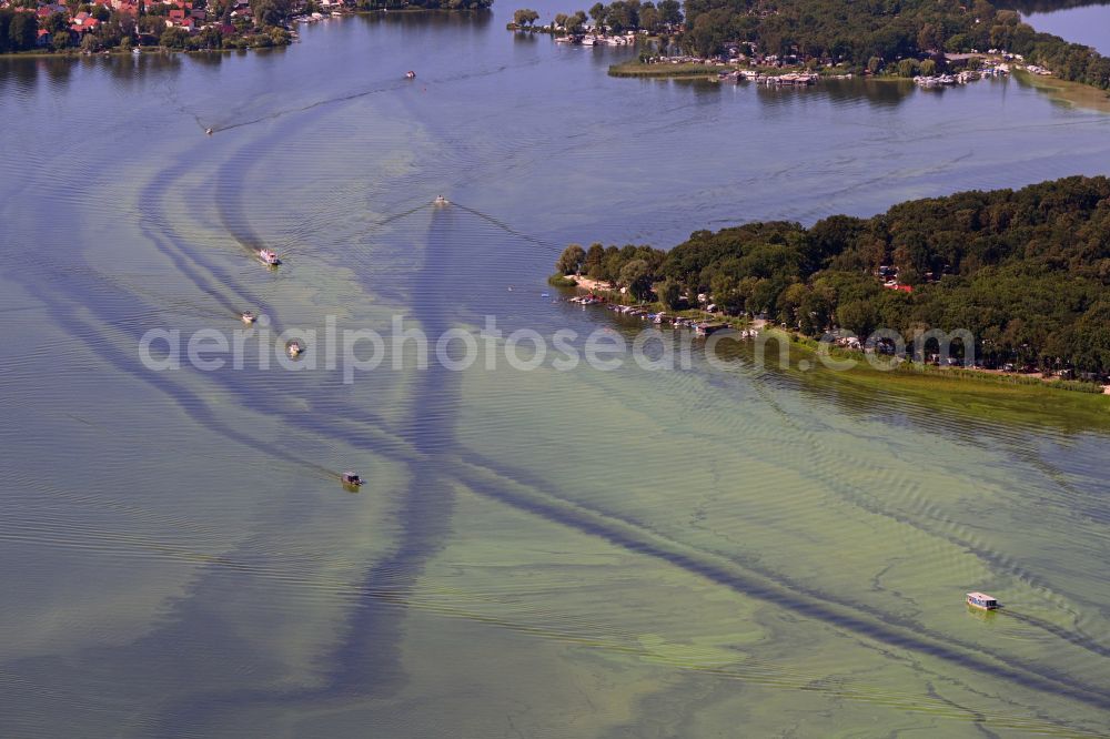 Schwielowsee from above - Motorboat - speedboat in motion on Templiner See in the district Caputh in Schwielowsee in the state Brandenburg, Germany