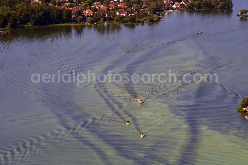 Schwielowsee from the bird's eye view: Motorboat - speedboat in motion on Templiner See in the district Caputh in Schwielowsee in the state Brandenburg, Germany