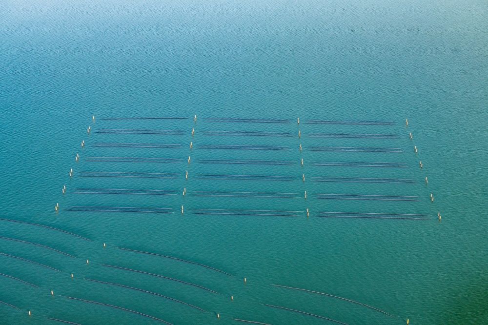Aerial image Hörnum (Sylt) - Mussel farming nets on the coast in front of Hoernum (Sylt) in the state Schleswig-Holstein, Germany
