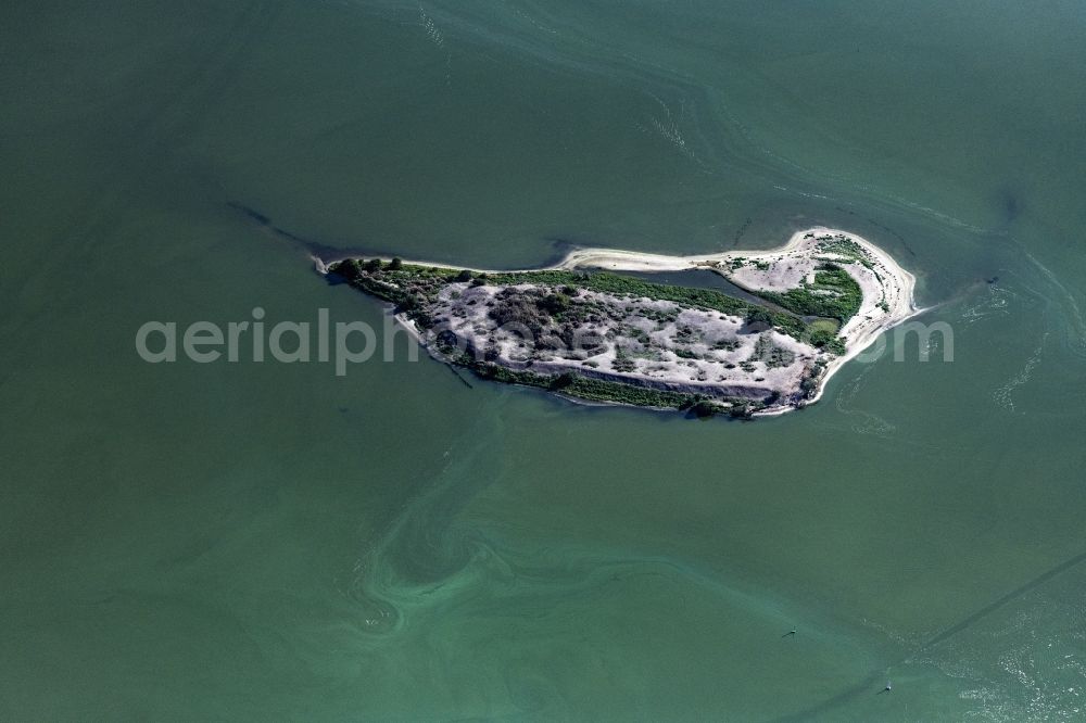 Aerial photograph Schleswig - Seagull island in the small latitude, the western part of the loop, in Schleswig in the state Schleswig-Holstein, Germany