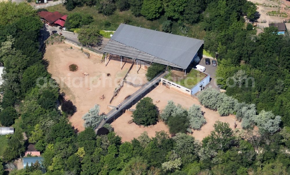 Erfurt from the bird's eye view: Animal breeding accommodation rhino house in Thueringer Zoopark in the district Roter Berg in Erfurt in the state Thuringia, Germany