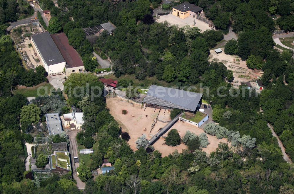 Aerial image Erfurt - Animal breeding accommodation rhino house in Thueringer Zoopark in the district Roter Berg in Erfurt in the state Thuringia, Germany