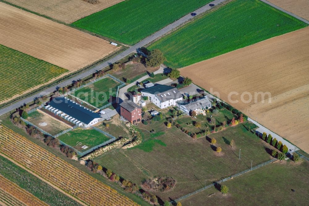 Aerial photograph Riegel am Kaiserstuhl - Animal wildlife protection station Toms' Hundewelt in Riegel am Kaiserstuhl in the state Baden-Wurttemberg, Germany