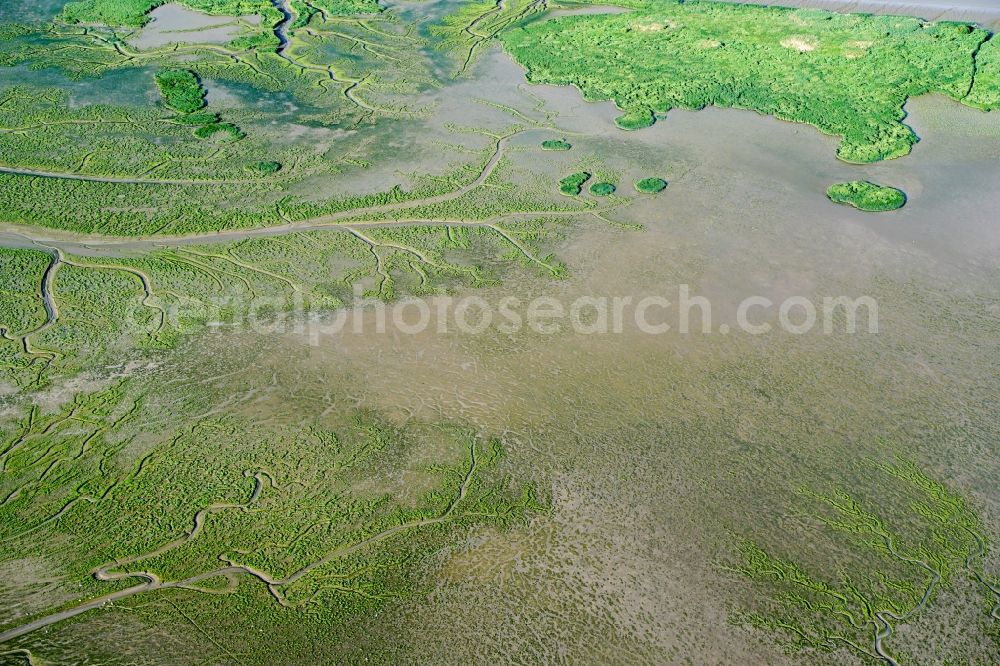 Aerial image Haselau - Nature reserve of the island Pagensand in Haselau in the state Schleswig-Holstein, Germany