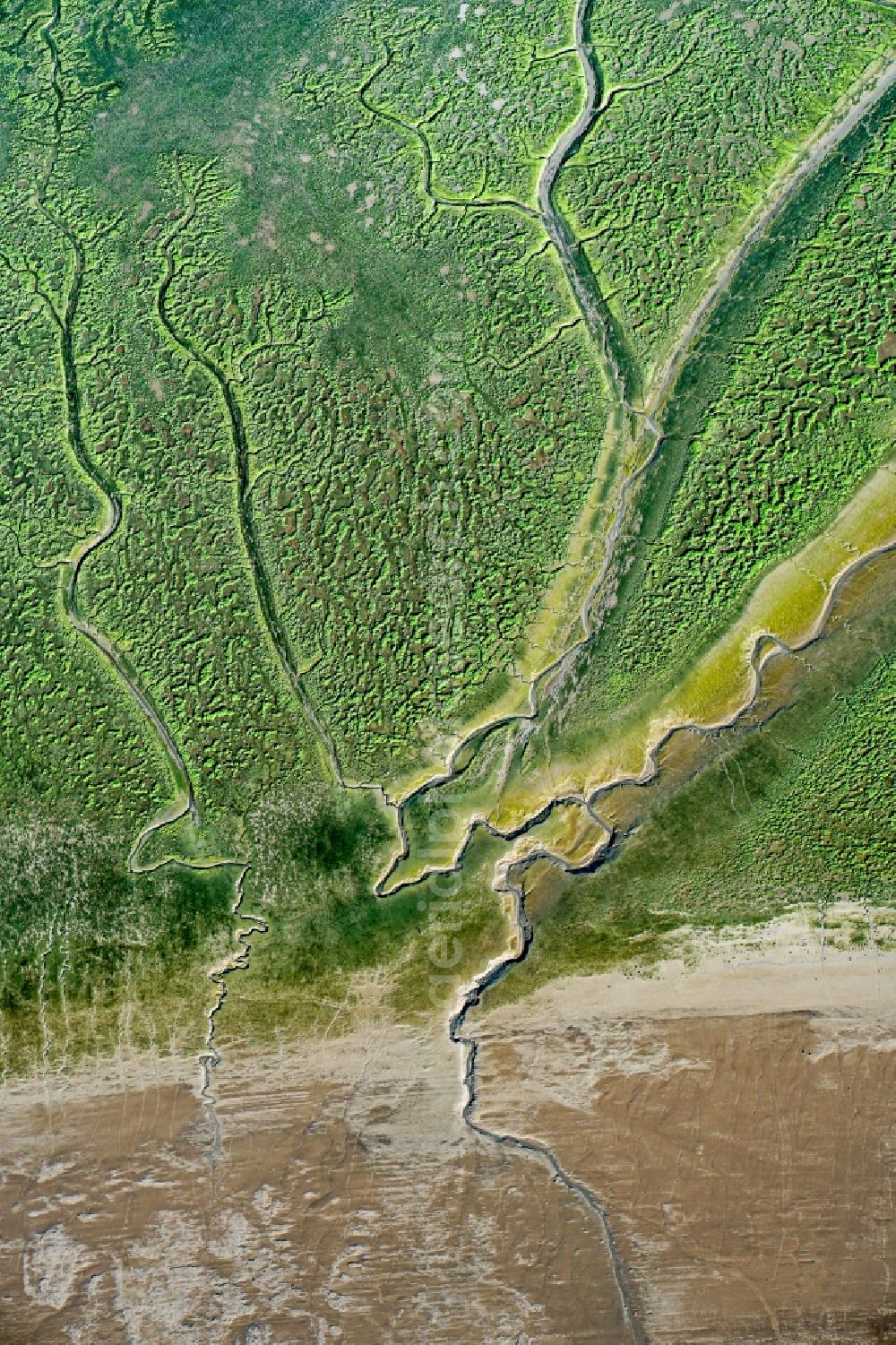 Aerial photograph Haselau - Nature reserve of the island Pagensand in Haselau in the state Schleswig-Holstein, Germany