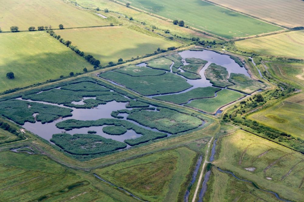 Aerial image Noke - Wetland and wet grassland in the Royal Society for the Protection of Birds RSPB nature reserve Otmoor near Noke, Oxfordshire in England, Großbritannien